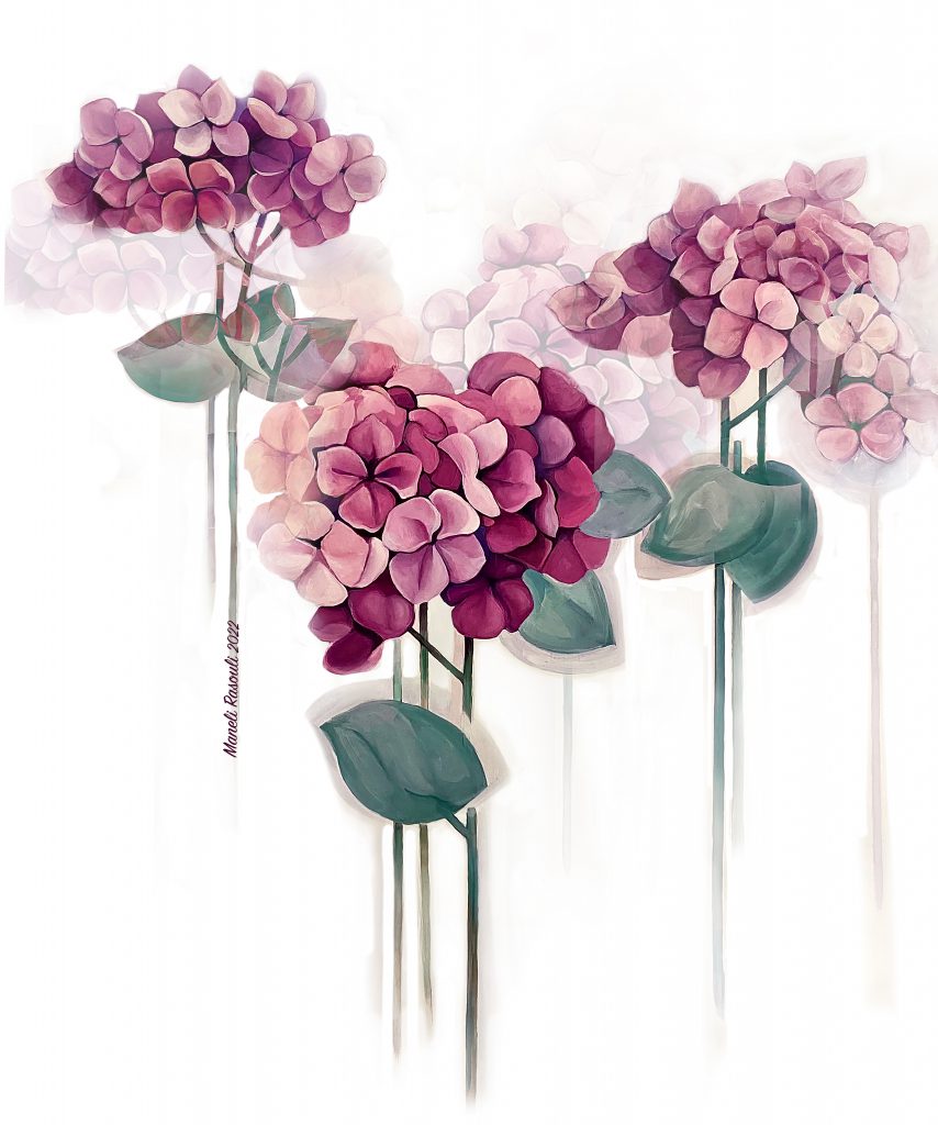Haydrangea Flower