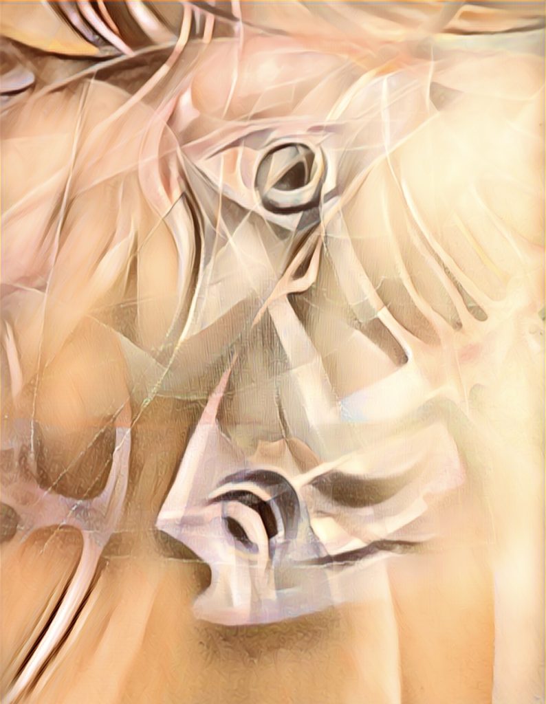 Echo of Silence 3