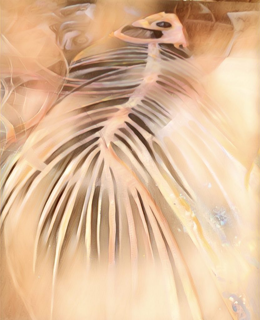 Echo of Silence 6